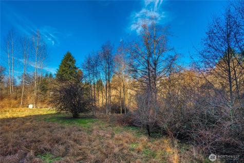 10330 56th Street SE Snohomish WA 98290