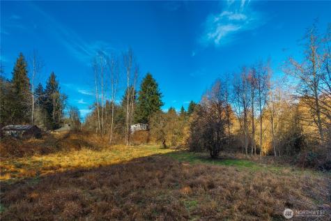 10330 56th Street SE Snohomish WA 98290
