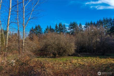 10330 56th Street SE Snohomish WA 98290