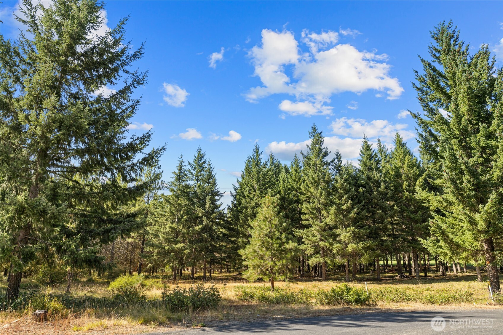 51 Big Bug Lane Cle Elum WA 98922