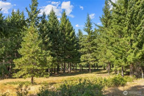 51 Big Bug Lane Cle Elum WA 98922
