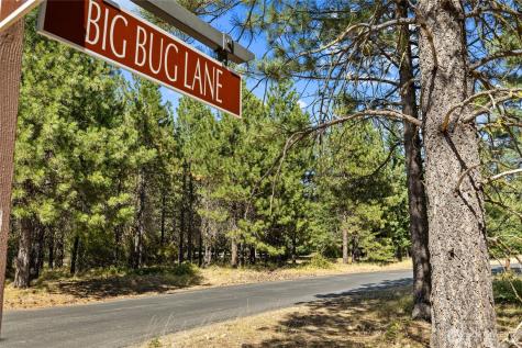 51 Big Bug Lane Cle Elum WA 98922