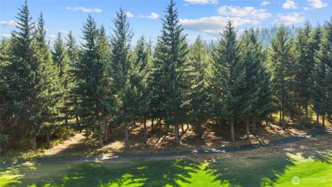 51 Big Bug Lane Cle Elum WA 98922
