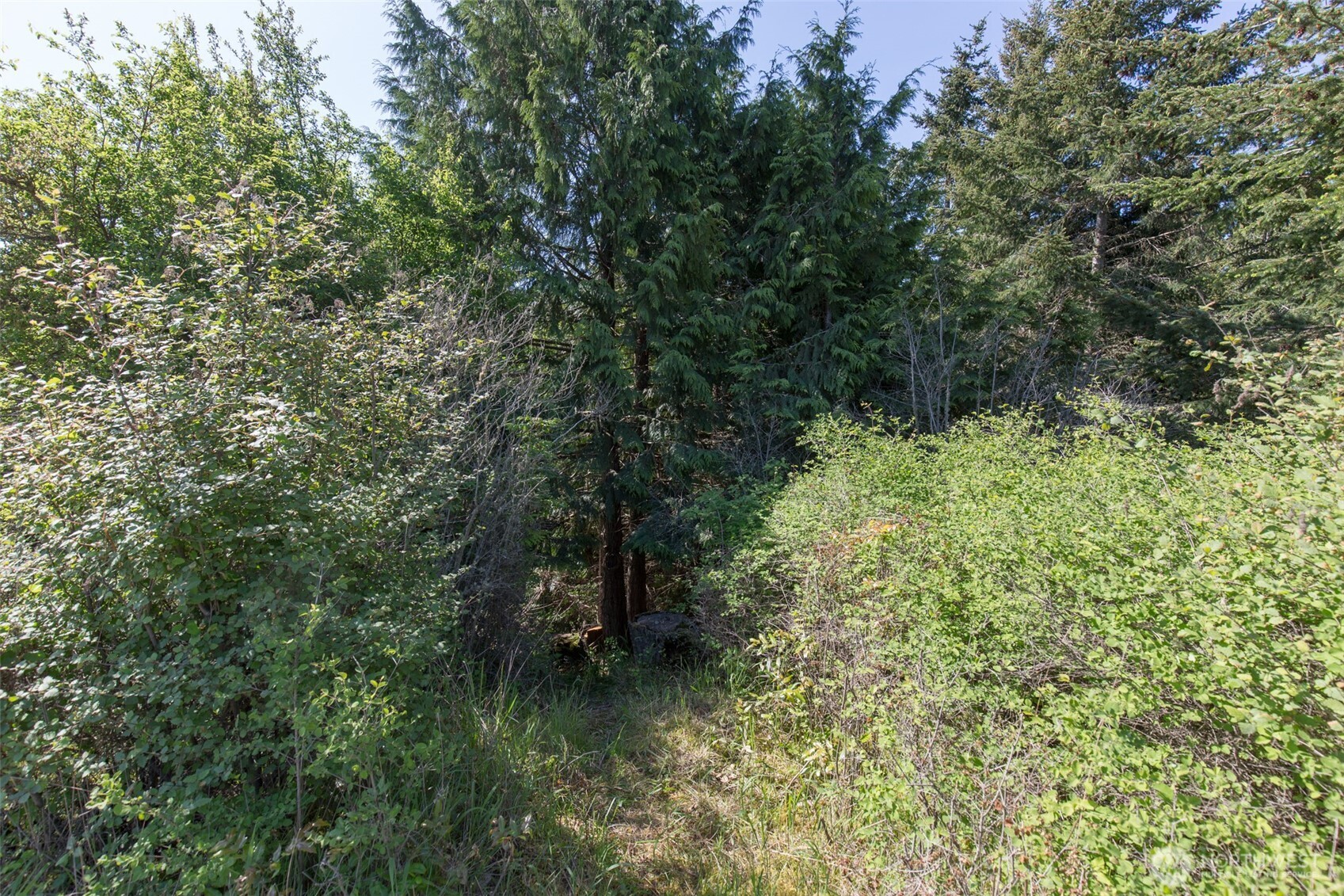 9999 Quiet Waters Lane Sequim WA 98382