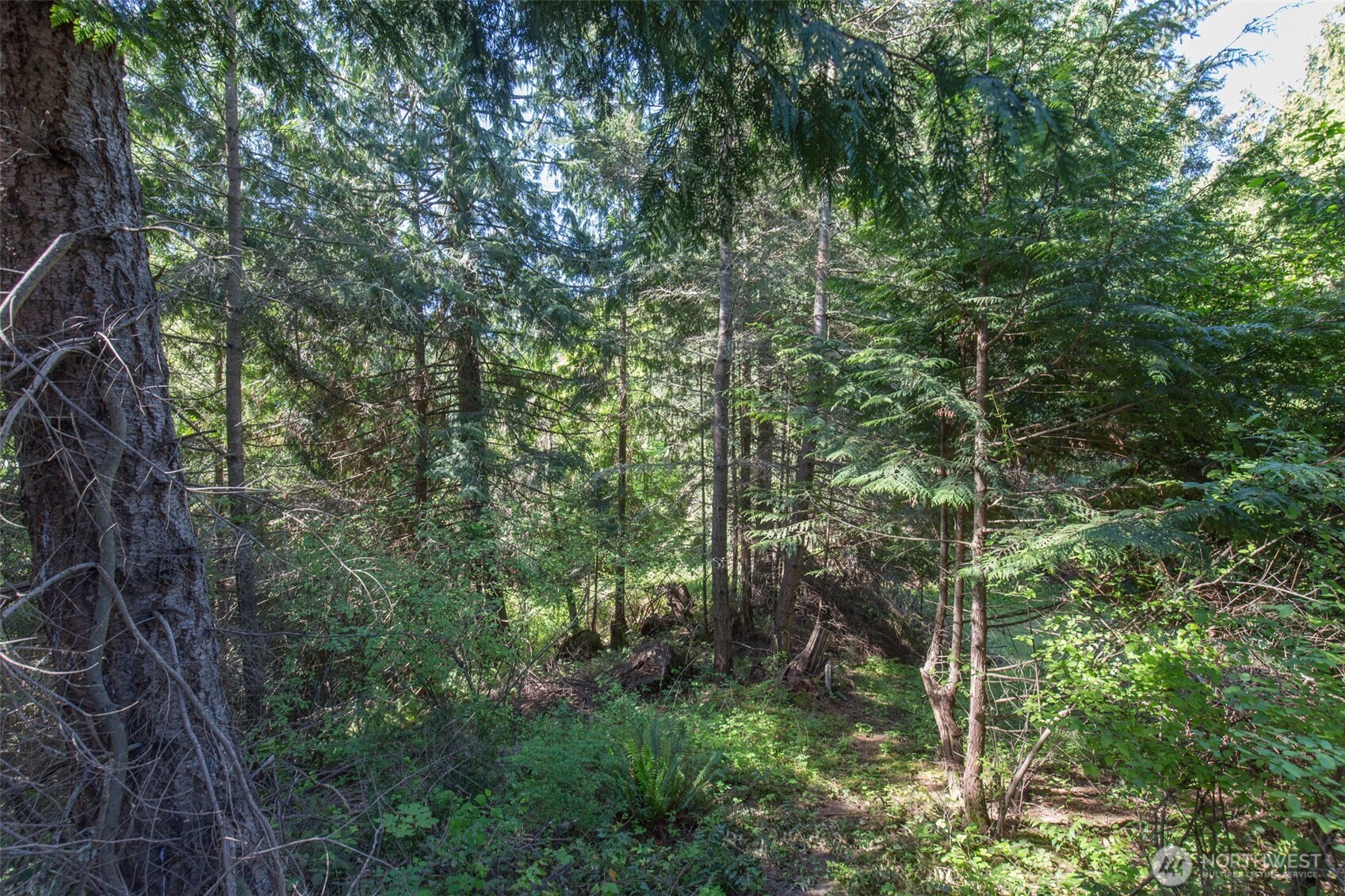 9999 Quiet Waters Lane Sequim WA 98382