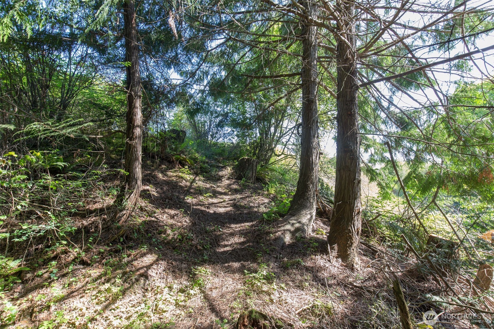 9999 Quiet Waters Lane Sequim WA 98382