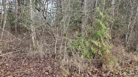 4492 Sweet Road Blaine WA 98230