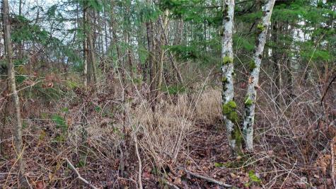 4492 Sweet Road Blaine WA 98230