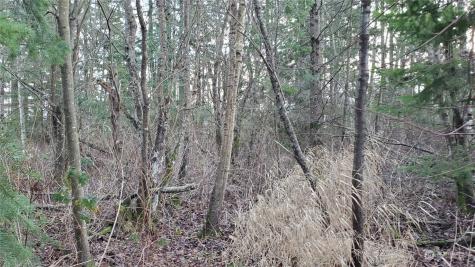4492 Sweet Road Blaine WA 98230