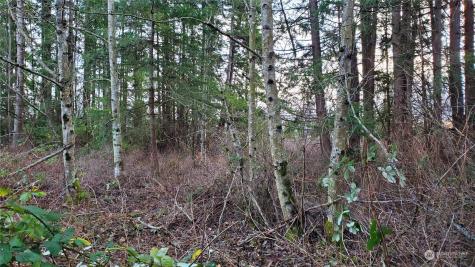 4492 Sweet Road Blaine WA 98230