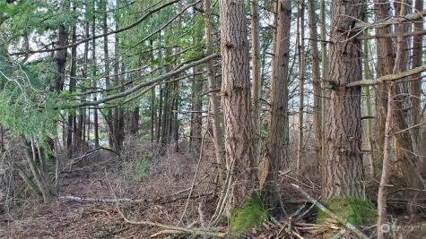 4492 Sweet Road Blaine WA 98230
