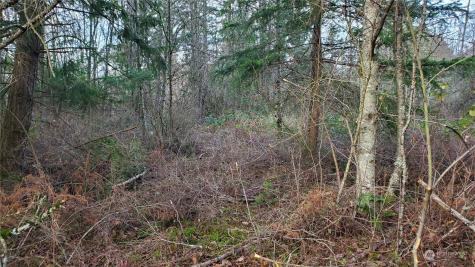 4492 Sweet Road Blaine WA 98230