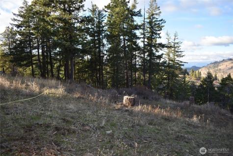 241 Morrison Canyon Lane Cle Elum WA 98922