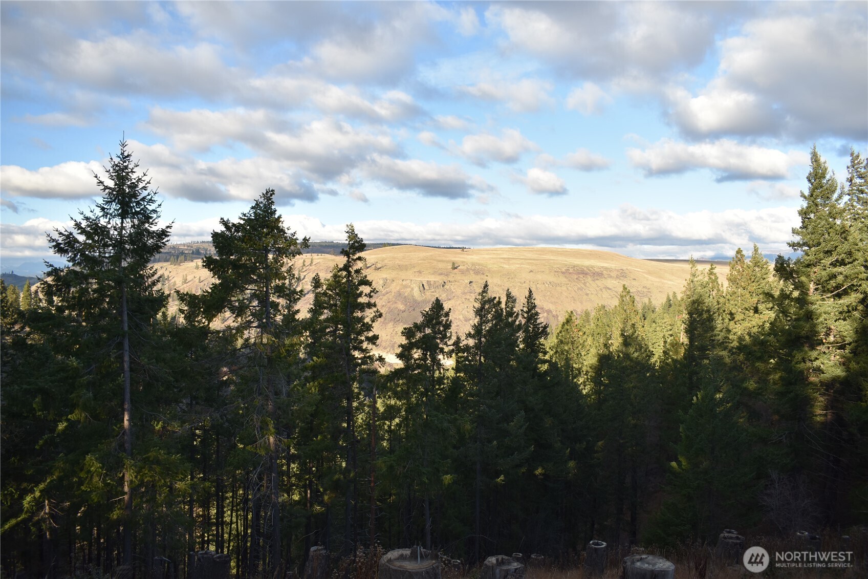241 Morrison Canyon Lane Cle Elum WA 98922