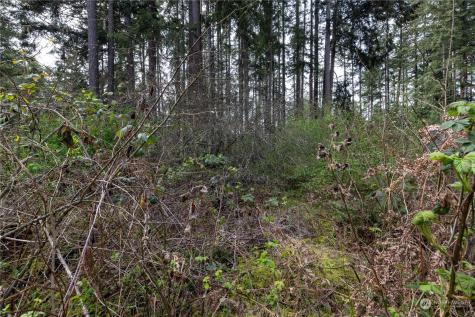 0 95th Avenue Court E Graham WA 98338