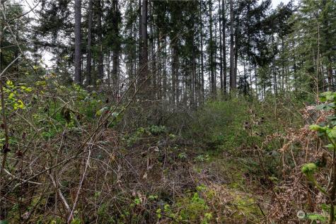 0 95th Avenue Court E Graham WA 98338