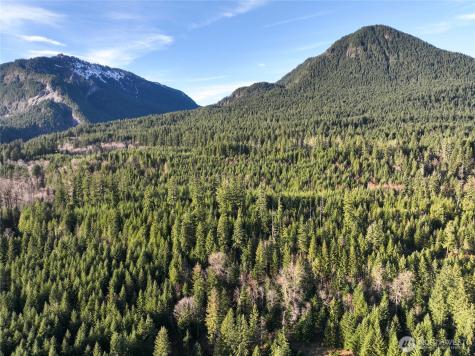 0 Skate Creek Road S Packwood WA 98361