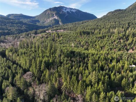 0 Skate Creek Road S Packwood WA 98361