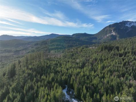 0 Skate Creek Road S Packwood WA 98361