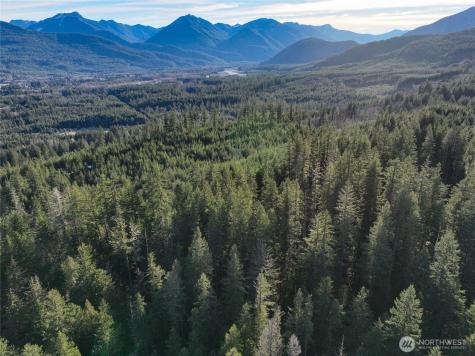0 Skate Creek Road S Packwood WA 98361