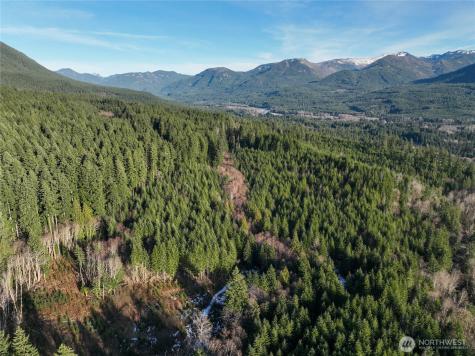 0 Skate Creek Road S Packwood WA 98361