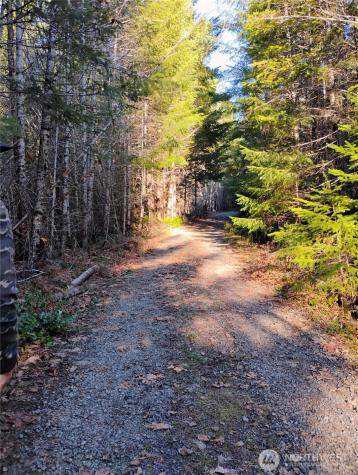 0 Skate Creek Road S Packwood WA 98361