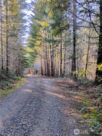 0 Skate Creek Road S Packwood WA 98361