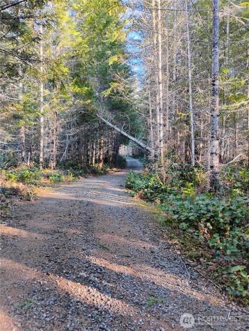 0 Skate Creek Road S Packwood WA 98361