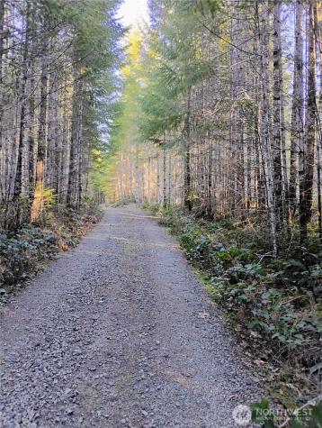 0 Skate Creek Road S Packwood WA 98361