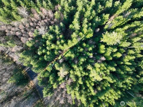 0 Skate Creek Road S Packwood WA 98361