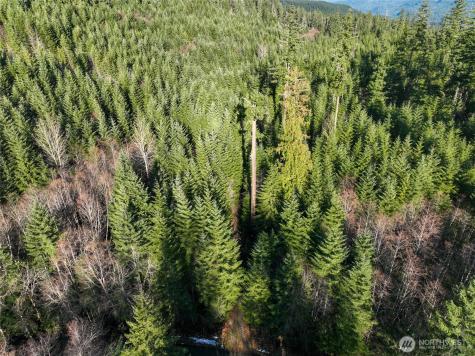 0 Skate Creek Road S Packwood WA 98361