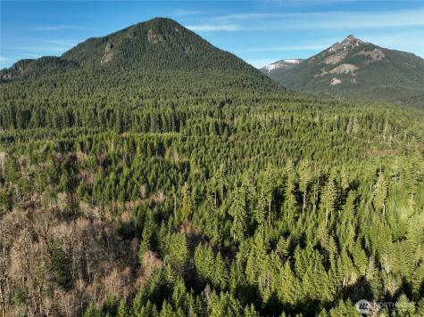 0 Skate Creek Road S Packwood WA 98361