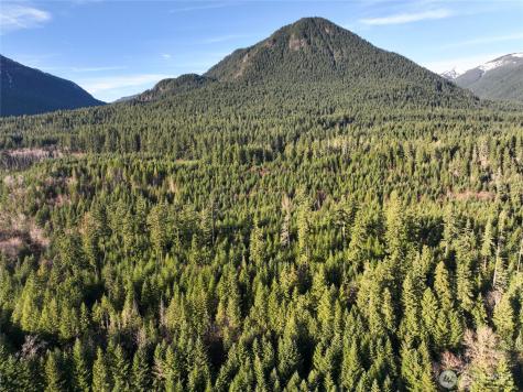 0 Skate Creek Road S Packwood WA 98361