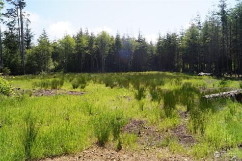 2724 State Route 109 Ocean City WA 98569