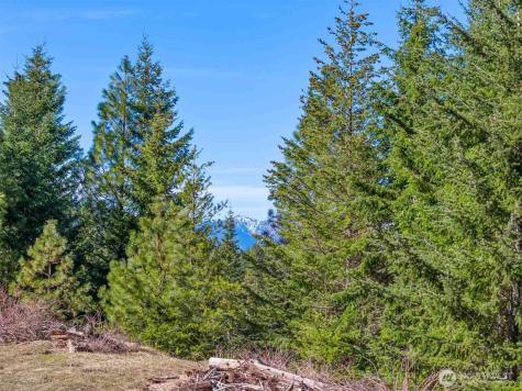 70 Liberty Bell Lane Cle Elum WA 98922