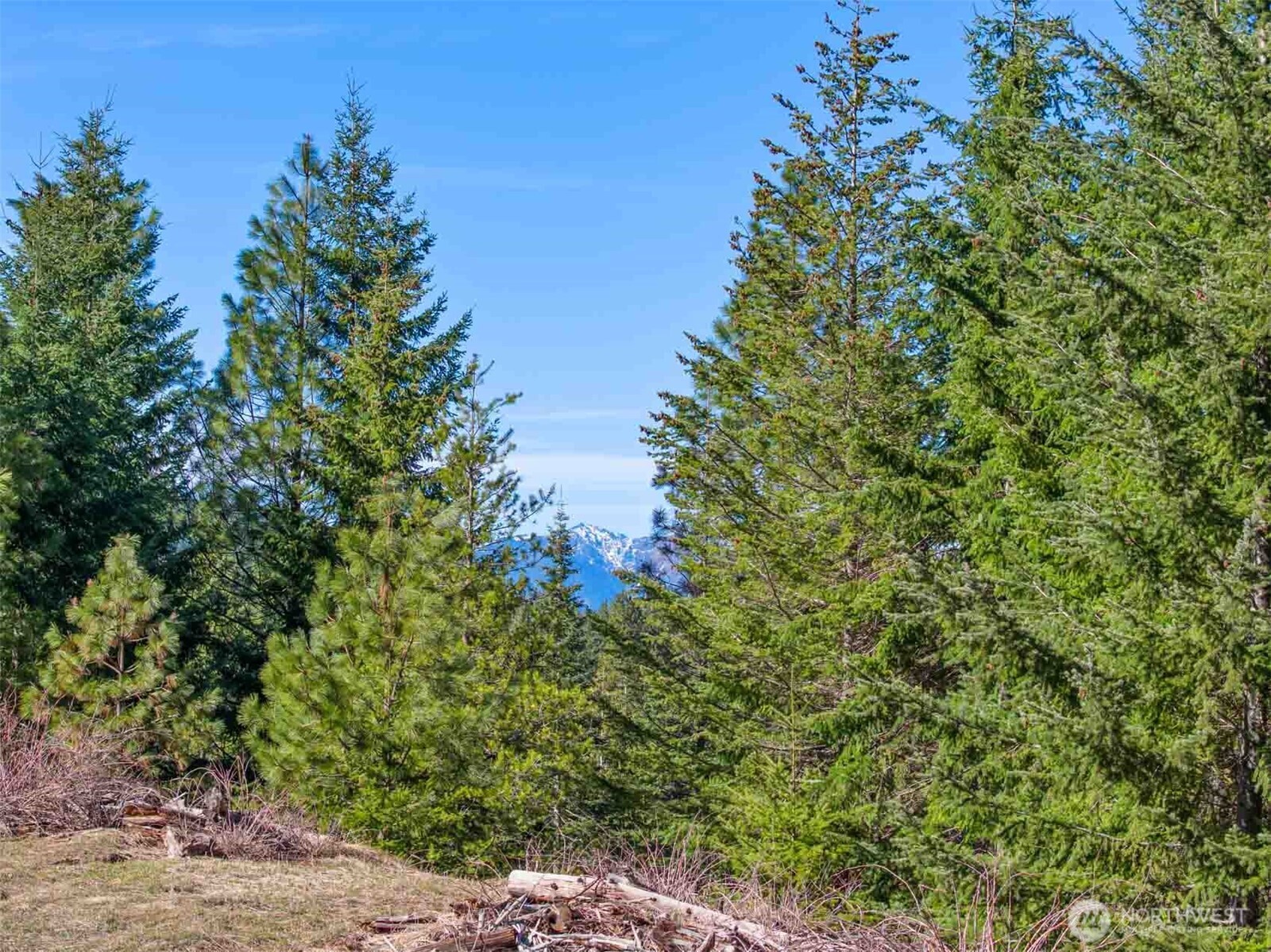 70 Liberty Bell Lane Cle Elum WA 98922