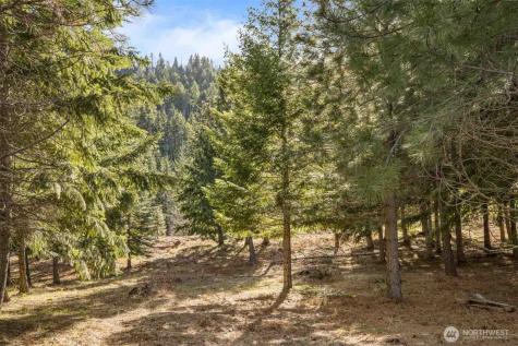 70 Liberty Bell Lane Cle Elum WA 98922