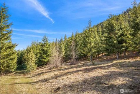 70 Liberty Bell Lane Cle Elum WA 98922
