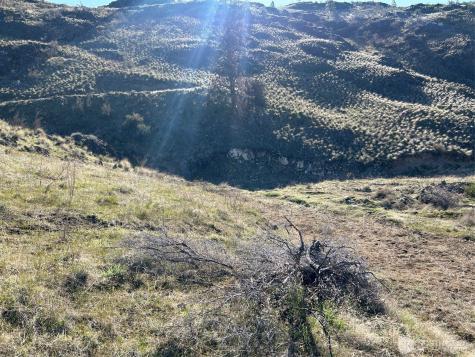 1669 Emerson Acres Road Manson WA 98831