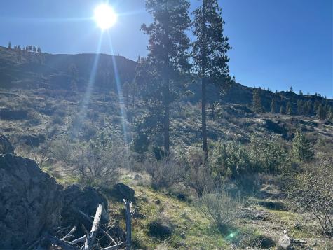 1669 Emerson Acres Road Manson WA 98831