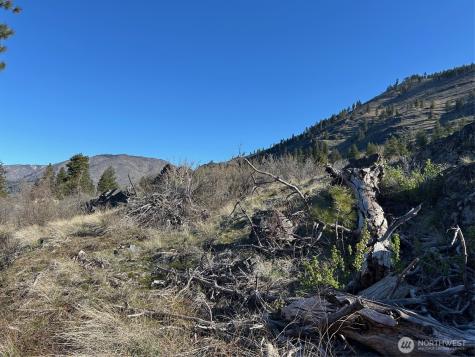 1669 Emerson Acres Road Manson WA 98831