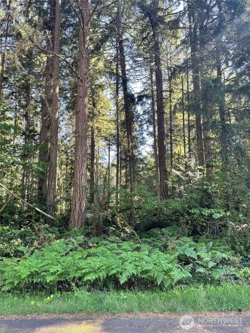11825 112th Avenue Anderson Island WA 98303