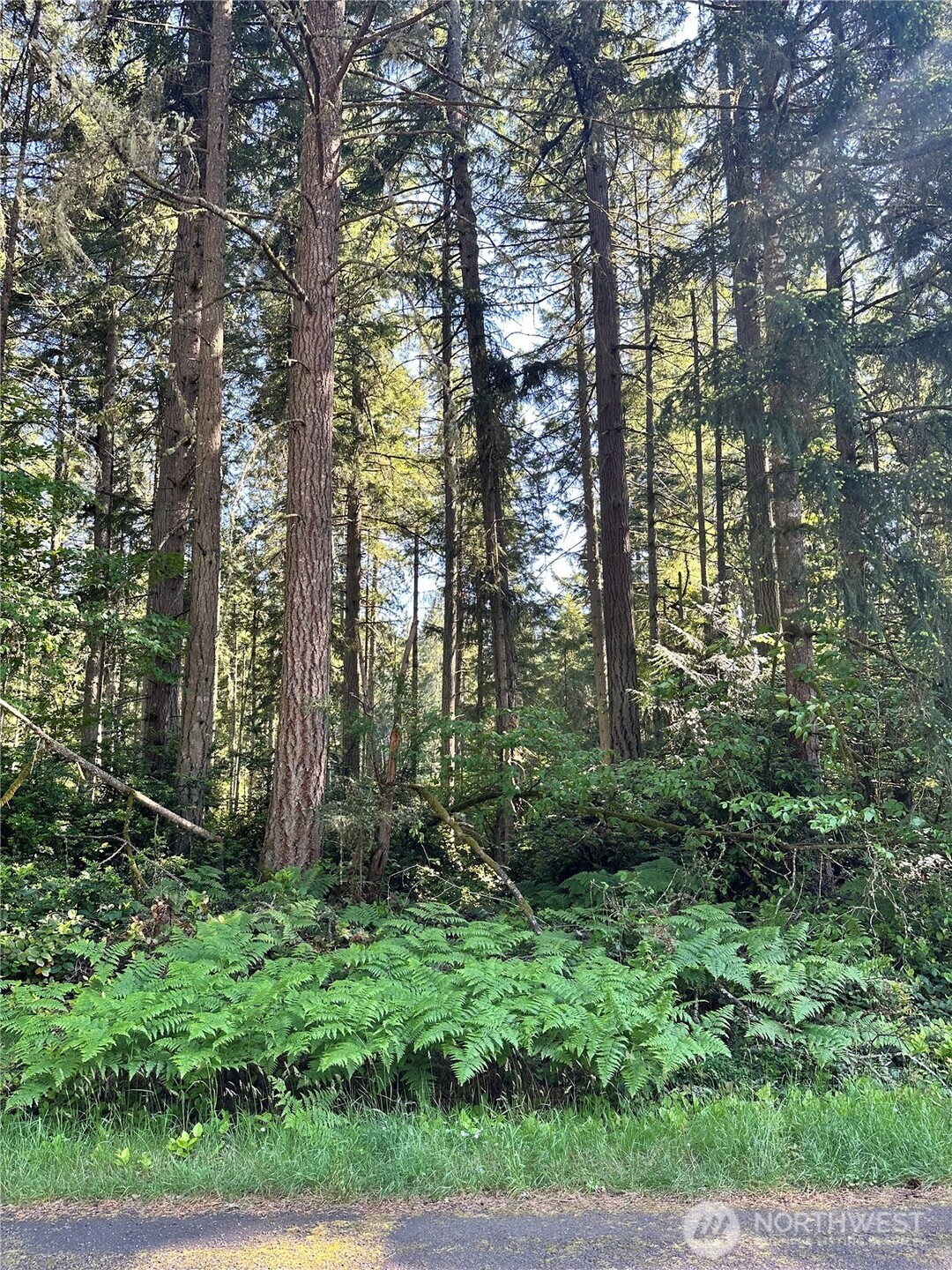 11825 112th Avenue Anderson Island WA 98303