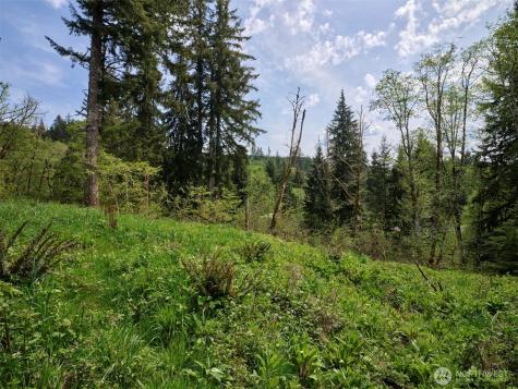 140 Skinner Road Woodland WA 98674