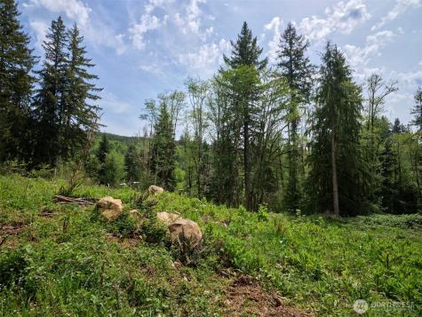 140 Skinner Road Woodland WA 98674
