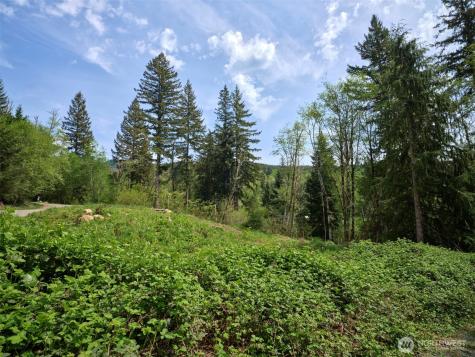 140 Skinner Road Woodland WA 98674