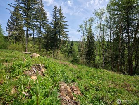 140 Skinner Road Woodland WA 98674