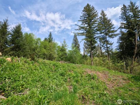 140 Skinner Road Woodland WA 98674