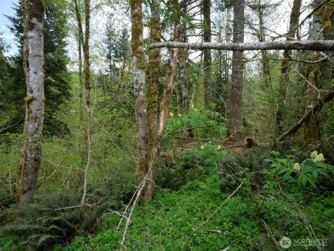 140 Skinner Road Woodland WA 98674