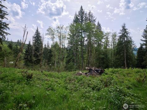140 Skinner Road Woodland WA 98674